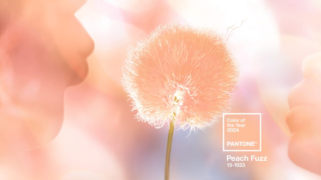 Explorando a cor do ano 2024 da Pantone - Peach Fuzz